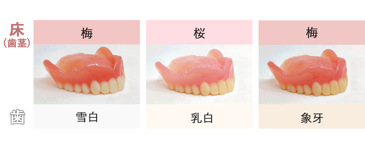 歯茎の色の梅は赤に近いピンク、桜は薄いピンク色です。歯の色は雪白→乳白→象牙の順に明るい白色から黄味の強い色味となっています。